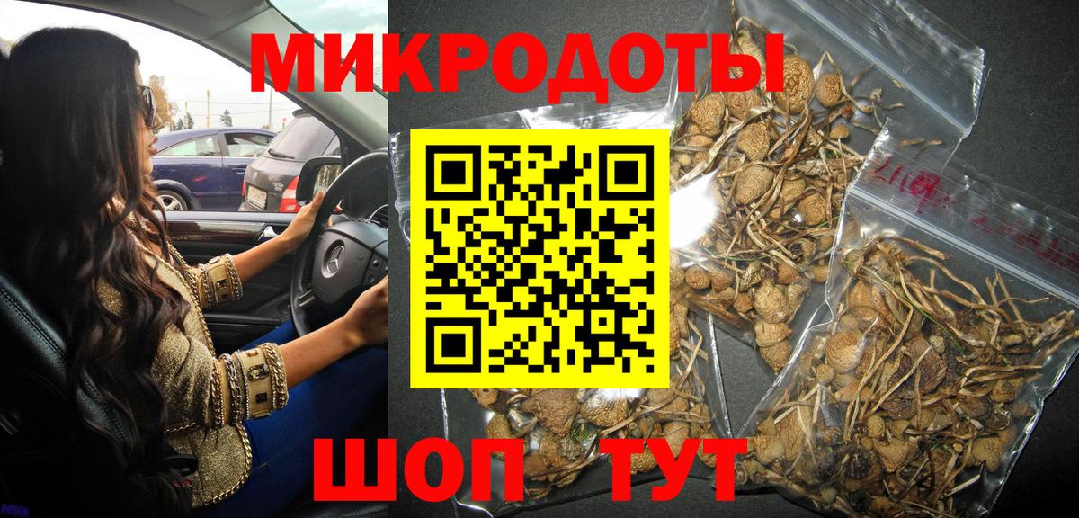 Чита  Галлюциногенные грибы Psilocybe  Вход с VPN 