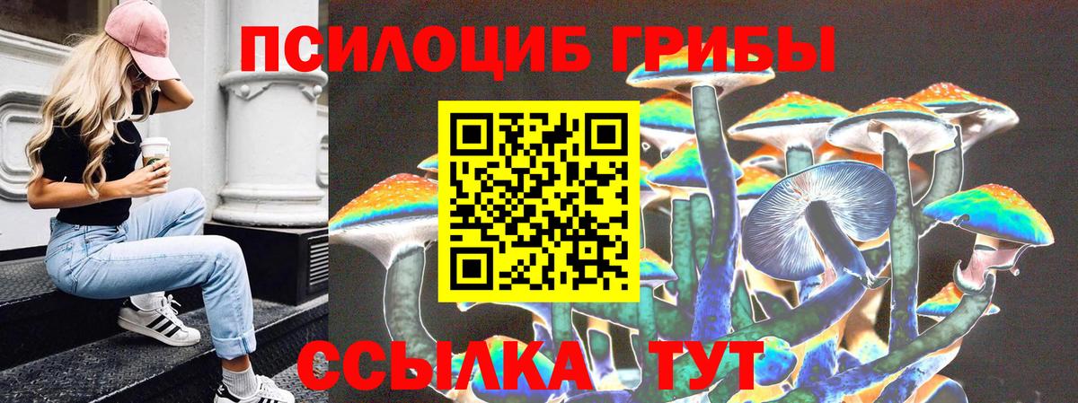 Псилоцибиновые грибы GOLDEN TEACHER Чита